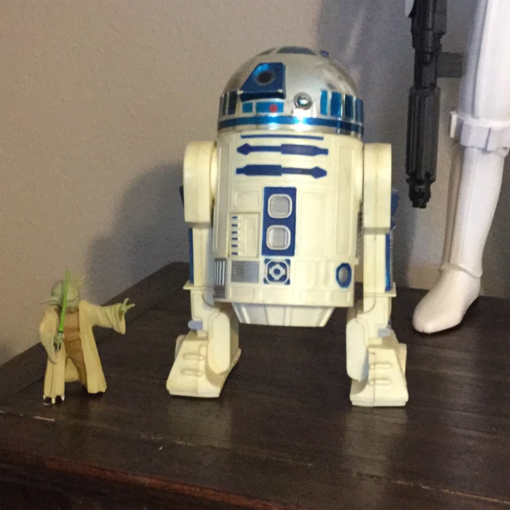 Meet your Posher, Judi lynn